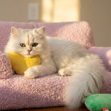 Serene Spot Cosy Sofa Pet Bed - Deluxe