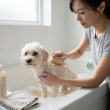 3-in-1 Pet Grooming Brush with Steam Spray & Massage