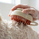 3-in-1 Pet Grooming Brush with Steam Spray & Massage