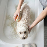 3-in-1 Pet Grooming Brush with Steam Spray & Massage