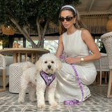 Reflective Mesh Harness & Lead Set