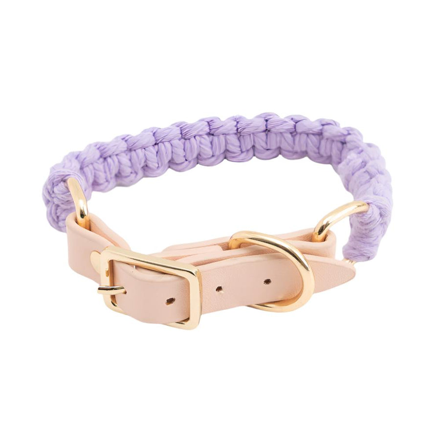 Pastel Braided Rope Handknit Soft Dog Collar