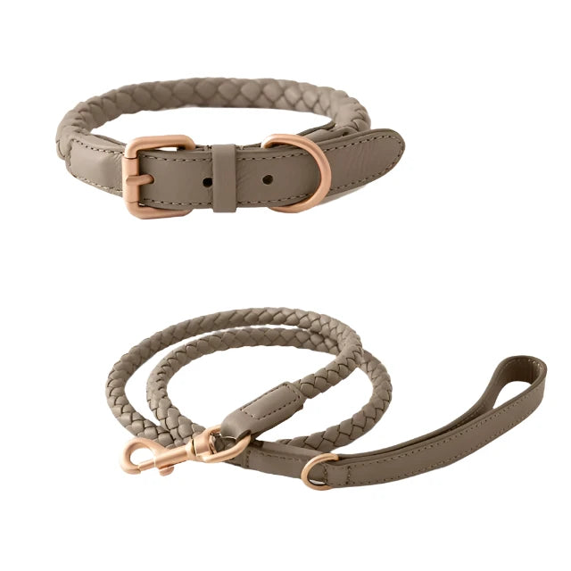 Deluxe Dessert Leather Weave Collar & Leash Set