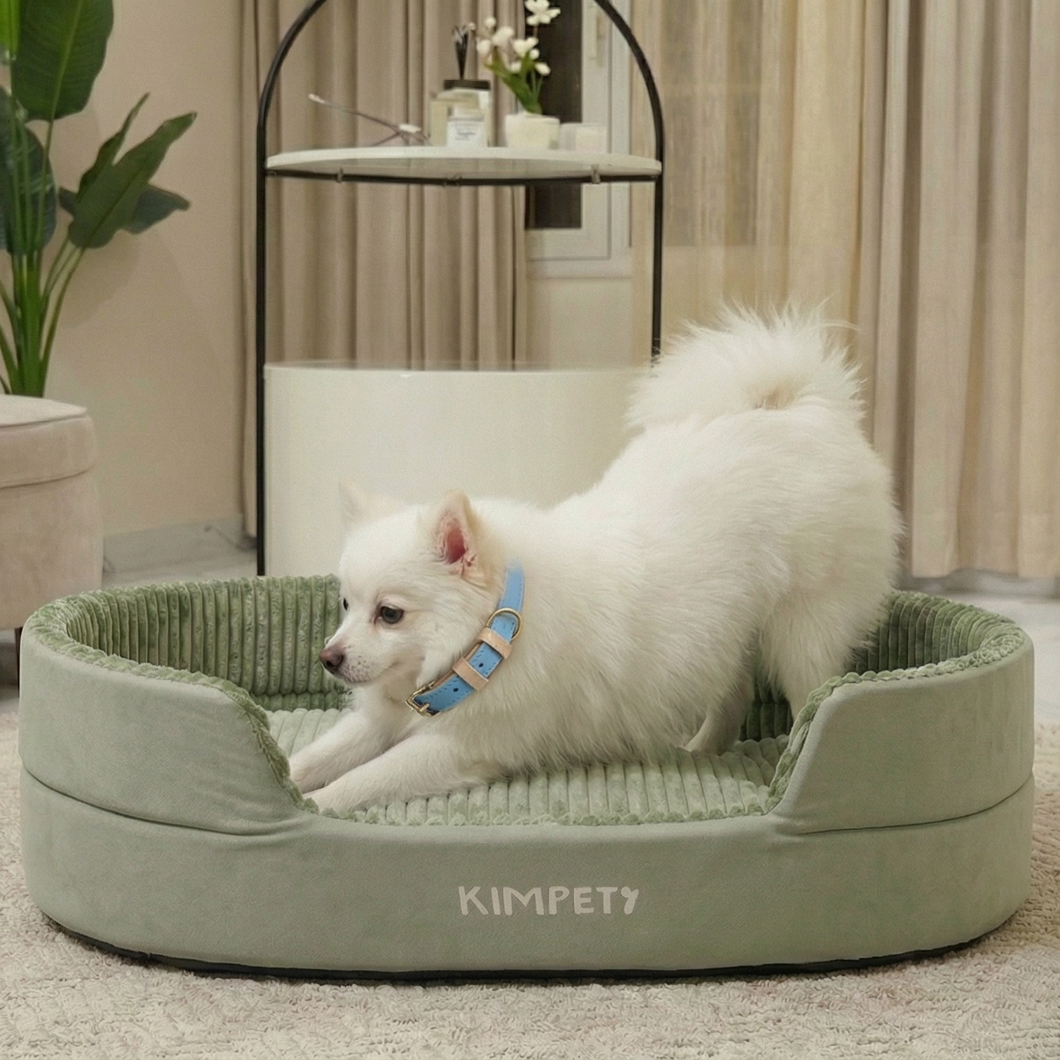 Fluffy Arctic Plush Cotton - Luxury Pet Accessories | Pawd