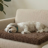 100% Cotton Plush Cushion Pet Bed - Original