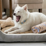 Luxurious Soft Oxford Fabric Cotton Cushion Kennel Pet Bed