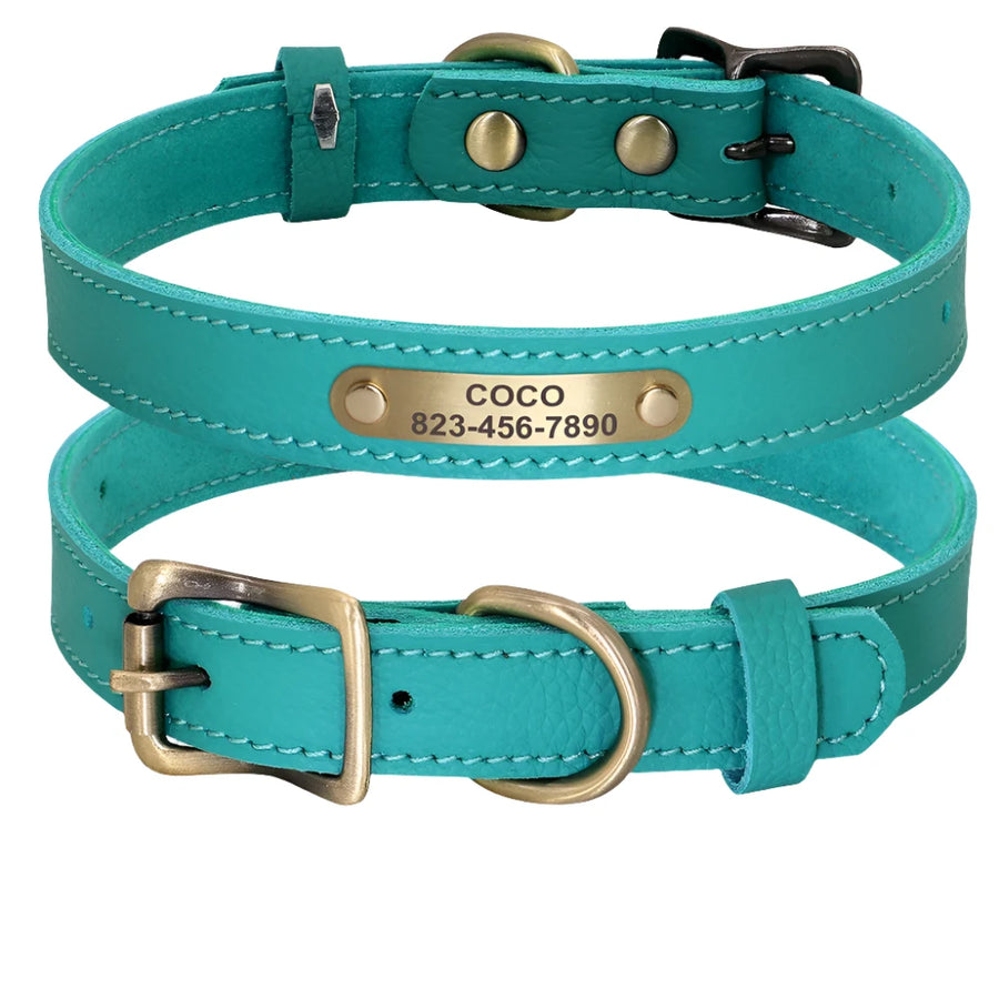 Personalized Royal Jewel Tone Genuine Leather Dog Collar