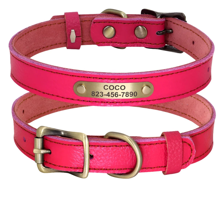 Personalized Royal Jewel Tone Genuine Leather Dog Collar