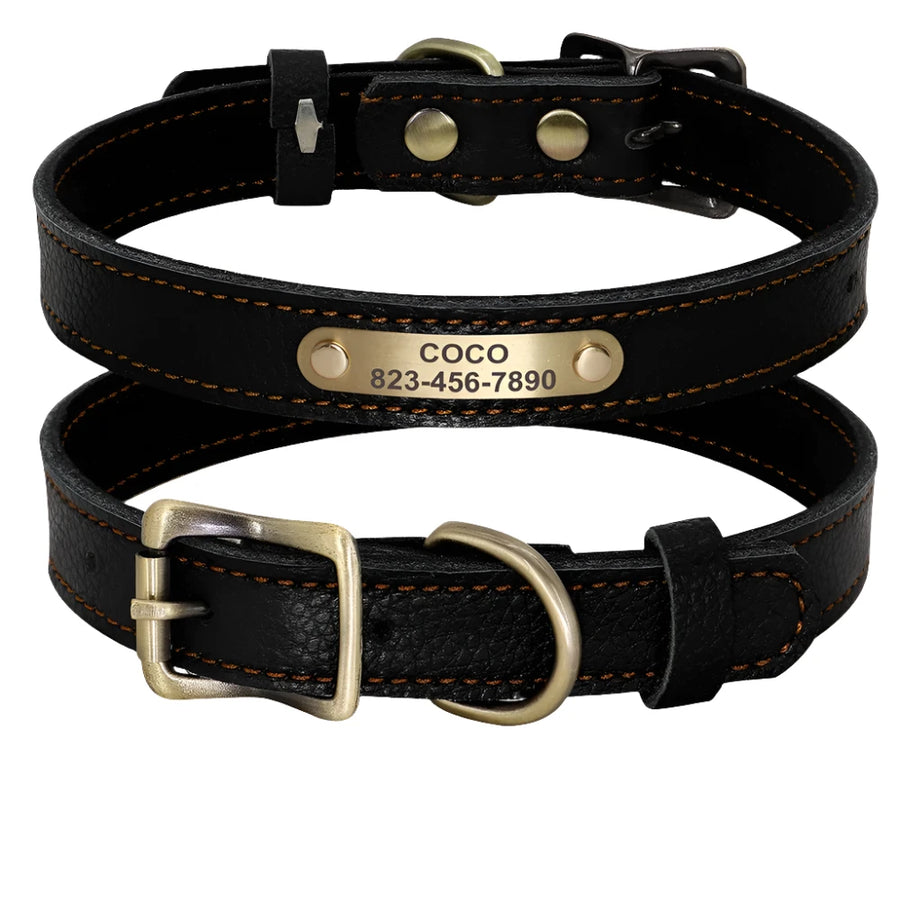 Personalized Royal Jewel Tone Genuine Leather Dog Collar