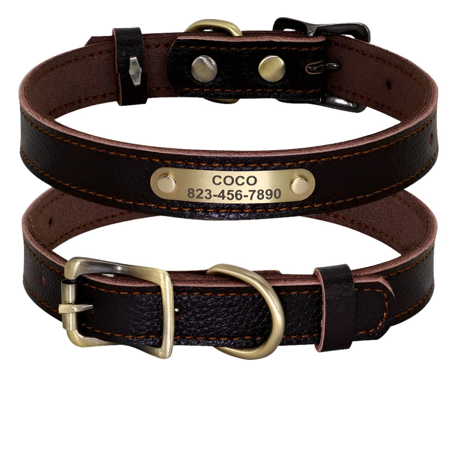 Personalized Royal Jewel Tone Genuine Leather Dog Collar