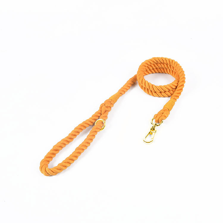 Vibrant Rainbow Cotton Rope Pet Leash