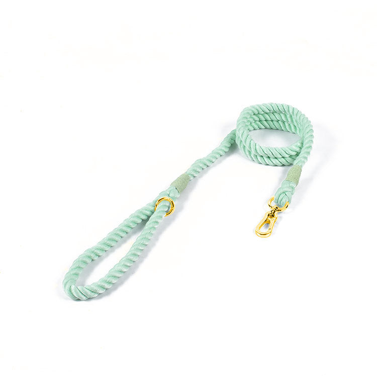 Vibrant Rainbow Cotton Rope Pet Leash