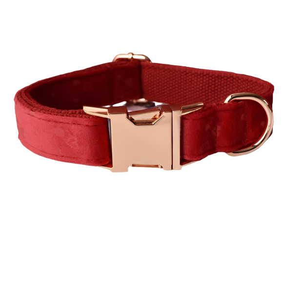 Ruby Red Heart Velvet Dog Collar - Personalized