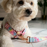 Rainbow Love Detachable Bow