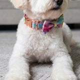 Rainbow Love Detachable Bow