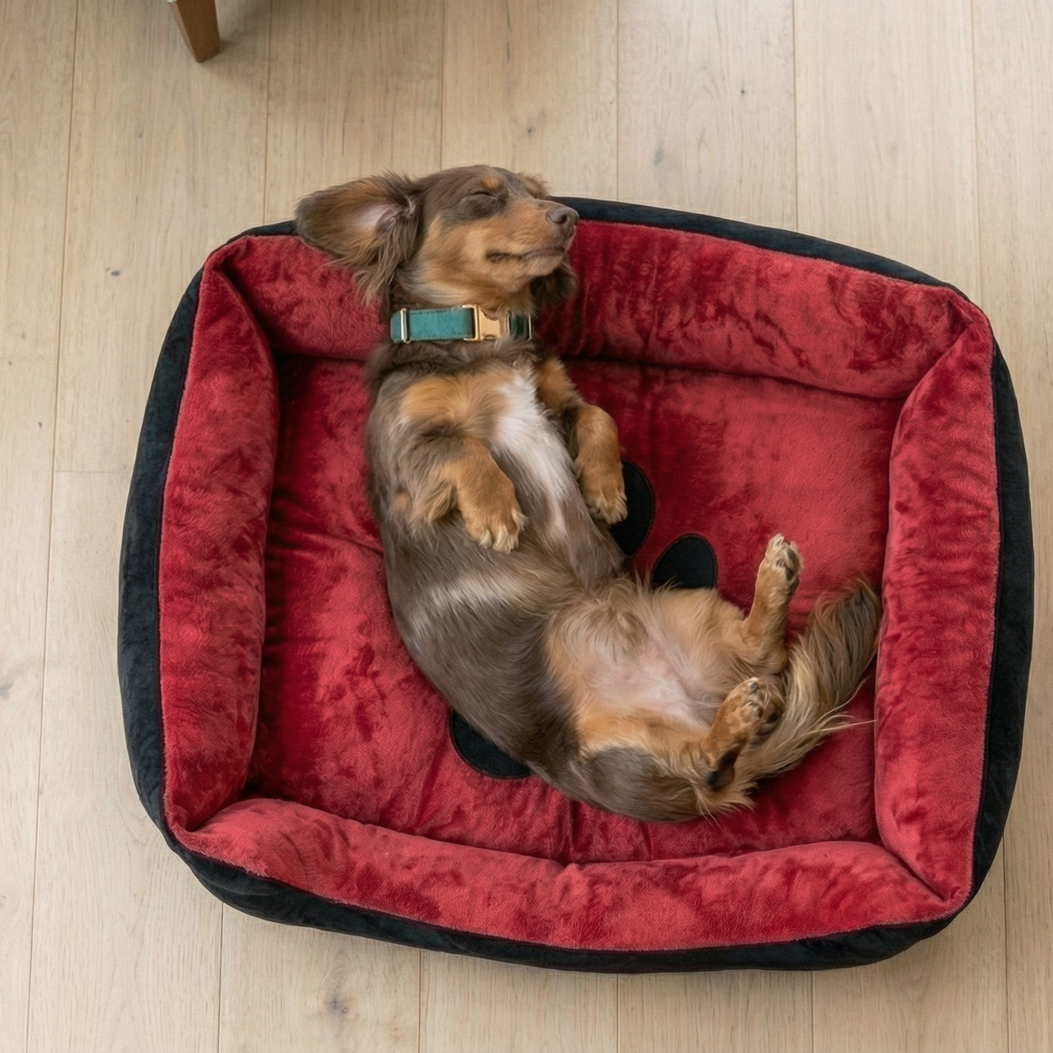 Cosy Warm Pet House | PAWD