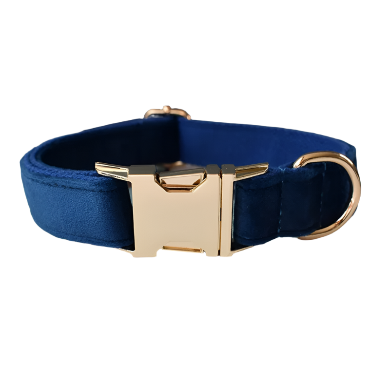 Sapphire Blue Velvet Dog Collar - Personalized