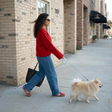 Classic Retractable Leash - 5M Reach