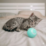 Interactive Automatic Rolling Ball Indoor Dog Toy