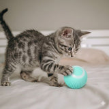 Interactive Automatic Rolling Ball Indoor Dog Toy