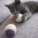 Feathered Interactive Sisal Scratching