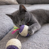 Feathered Interactive Sisal Scratching