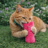 Catnip Plush Toy - Teeth & Sound