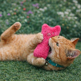 Catnip Plush Toy - Teeth & Sound