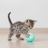 Interactive Automatic Rolling Ball Indoor Dog Toy