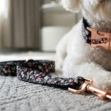 Botanical Nylon Collar - Blossom Print