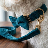 Peacock Collar - Blue Velvet