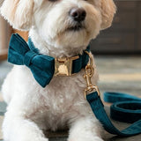 Peacock Collar - Blue Velvet