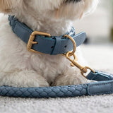 Dessert Collar - Leather Weave