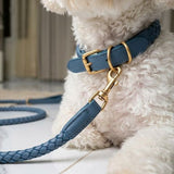 Dessert Collar - Leather Weave