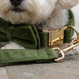 Olive Collar - Green Velvet