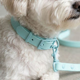 Royal Pastel PVC Dog Collar & Lead Set