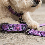 Reflective Mesh Harness & Lead Set