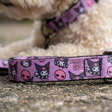 Reflective Mesh Harness & Lead Set