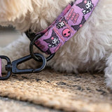 Reflective Mesh Harness & Lead Set