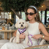 Reflective Mesh Harness & Lead Set