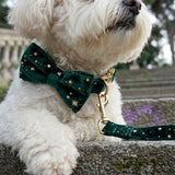 Starry Night Emerald Green