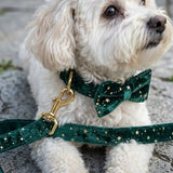 Starry Night Emerald Green