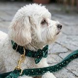 Starry Night Emerald Green