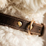 Saddle Cowhide Leather Dog & Cat Collar
