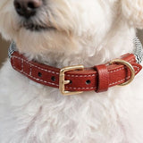 Deluxe Zigzag Leather Dog Collar
