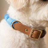 Deluxe Braided Rope Dog Collar