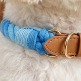 Deluxe Braided Rope Dog Collar