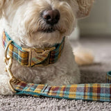 Tailored Checkered Pattern Engraving