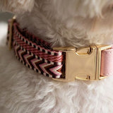 Classic Webbing Leather Dog Collar