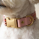 Classic Webbing Leather Dog Collar